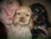 Фотография Татьяны Татьяны