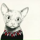 Фотография Просунцовой Дарьи