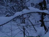 Фотография Шишкиной Марии