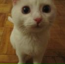 Фотография Михеевой Елены