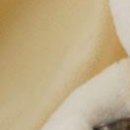 Ірина Швець фотография #21 (источник - https://vk.com/id146166672)