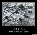Сергій Качуренко фотография #20 (источник - https://vk.com/id150573331)