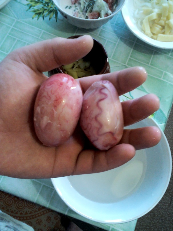 Sudkov Mikhail фотография #32