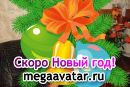 Фотография Лысовой Юлии