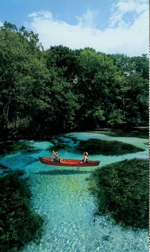 Дмитрий Михайлович фотография #4