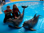 Фотография Брацыло Александра