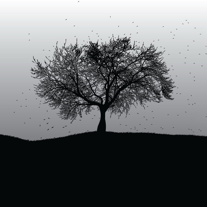 Виктор Васильев фотография #40