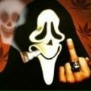 Антон Беляєв фотография #29 (источник - https://vk.com/id7465258)