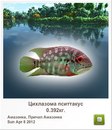 Людмила Бабікова фотография #16 (источник - https://vk.com/id155289329)
