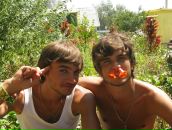 Фотография  