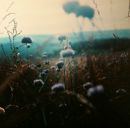 Сергій Свірський фотография #32 (источник - https://vk.com/id61144604)