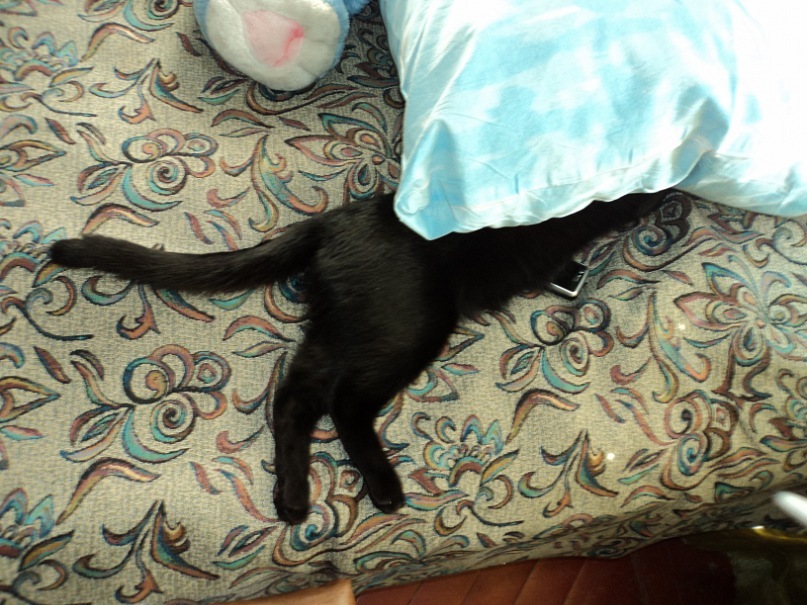 K@s!!!*** Офигенный фотография #18