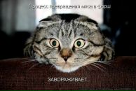 Фотография Кашинцева Александра