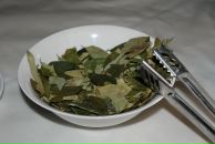 Алексей Чернышев фотография #24 (источник - https://vk.com/id457202)