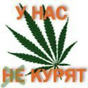 Іван Солтис фотография #34 (источник - https://vk.com/id136349401)