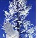 Виктор Билецкий фотография #27 (источник - https://vk.com/id24891151)