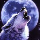 Александр Курицын фотография #44 (источник - https://vk.com/id62714907)