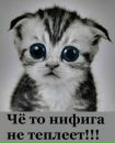 Фотография Макарова Алексея