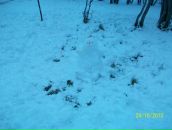 Фотография Макаровой Евгении