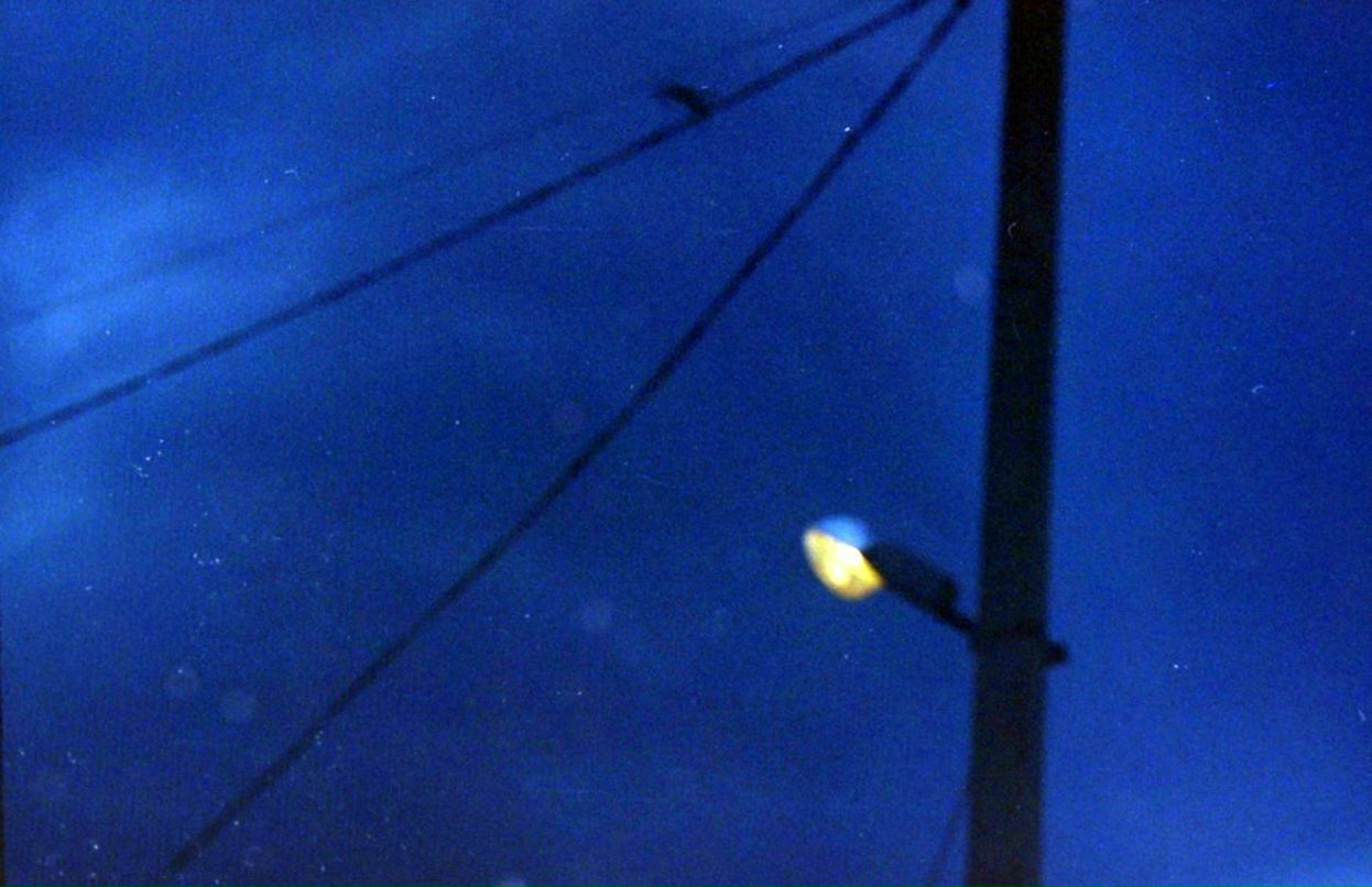 Саша Тарасенко фотография #9