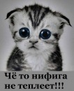 Фотография Жмылевой Марьяны