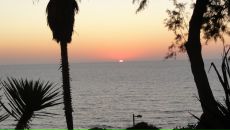 Фотография Супрун Маргариты