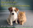 Тетяна Нікіфорова фотография #24 (источник - https://vk.com/id51812752)