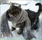 Фотография Симайкиной Татьяны