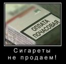 Фотография Василий Грачёв