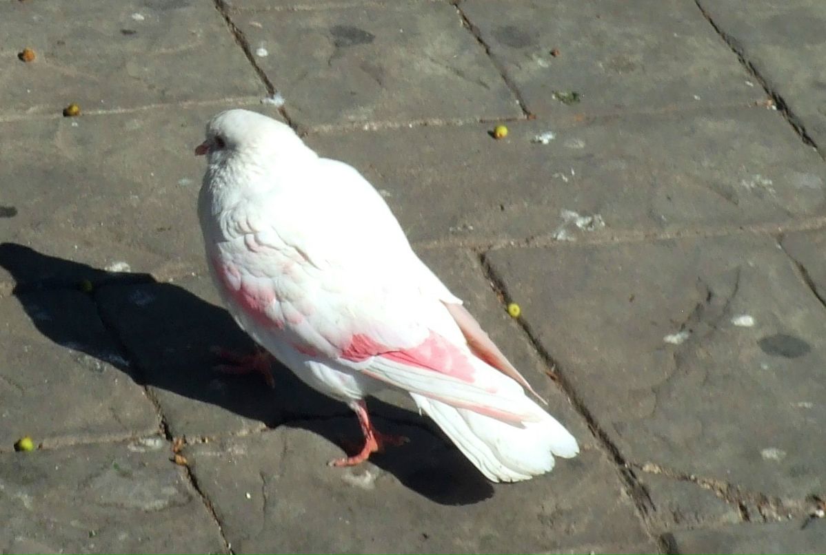 Юлия Леонидова фотография #49