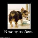 Фотография Пискунов Виталий
