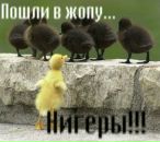 Фотография Пахтусова Константина