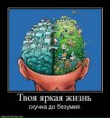 Володимир Біляк фотография #32 (источник - https://vk.com/id62535430)
