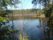 Дмитрий Водяник фотография #14 (источник - https://vk.com/id2207082)