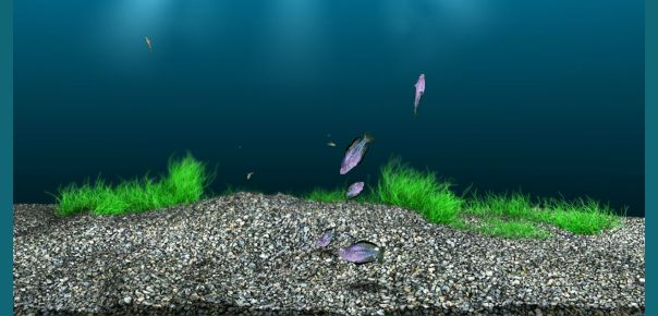 Рустам Кушаев фото №5