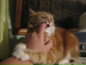 Фотография Гавриловой Анны