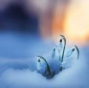 Юрій Гнатенко фотография #30 (источник - https://vk.com/id157707344)