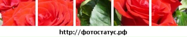 Крістіна Геревич фотография #19 (источник - https://vk.com/id38974374)