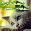 Маріанна Терендій фотография #19 (источник - https://vk.com/id50166892)