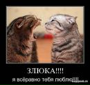 Вікуська Телекова фотография #43 (источник - https://vk.com/id105630711)