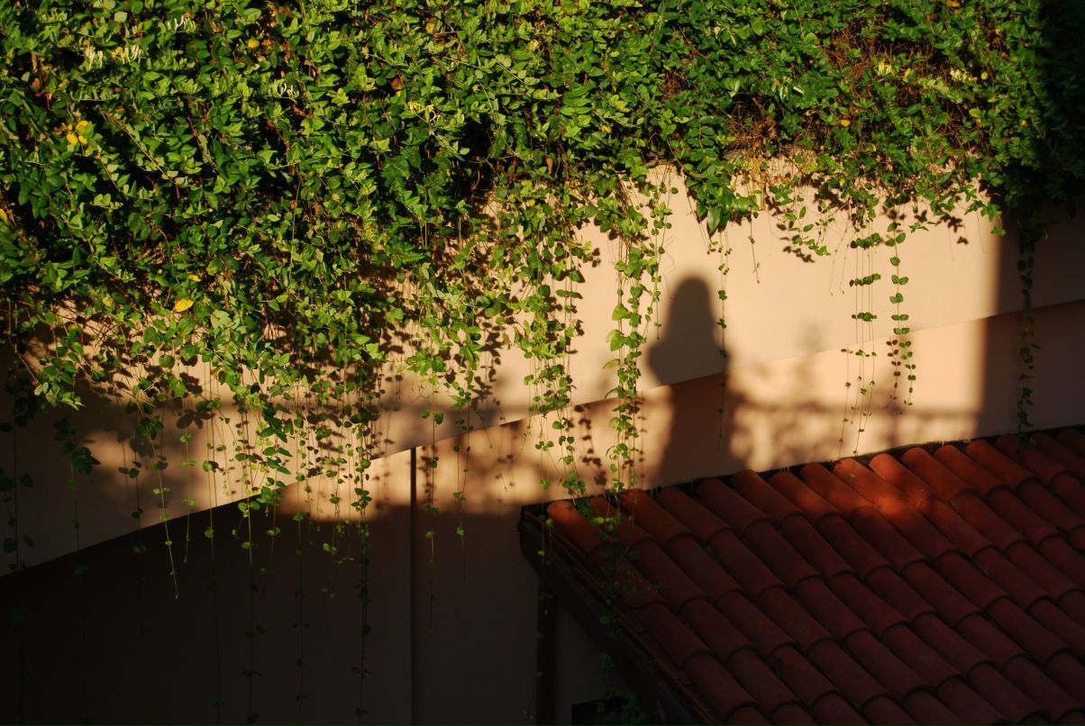 Анна Кузьмиченко фотография #25