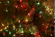 Фотография Сергеевича Александра