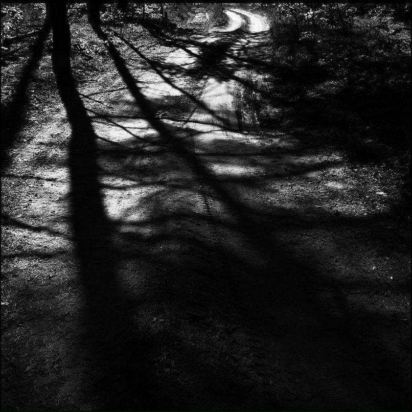 Саша Тарасенко фотография #29