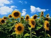 Марія Осадча фотография #11 (источник - https://vk.com/id43170331)