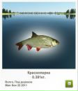 Ваня Бортнік фотография #50 (источник - https://vk.com/id146191425)