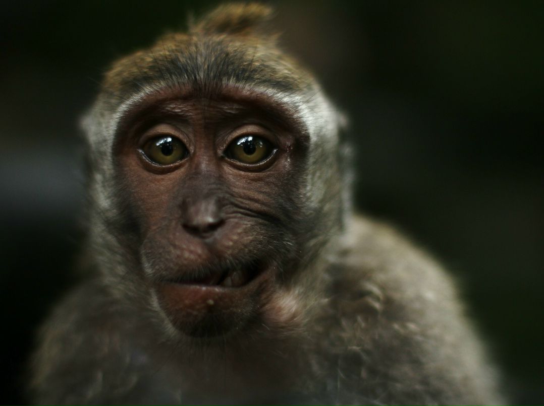 Игорь Федотов фотография #4