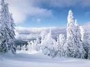 Юрій Лущ фотография #27 (источник - https://vk.com/id153106166)