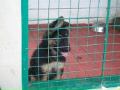 Ростік Юрчишин фотография #31 (источник - https://vk.com/id56249555)