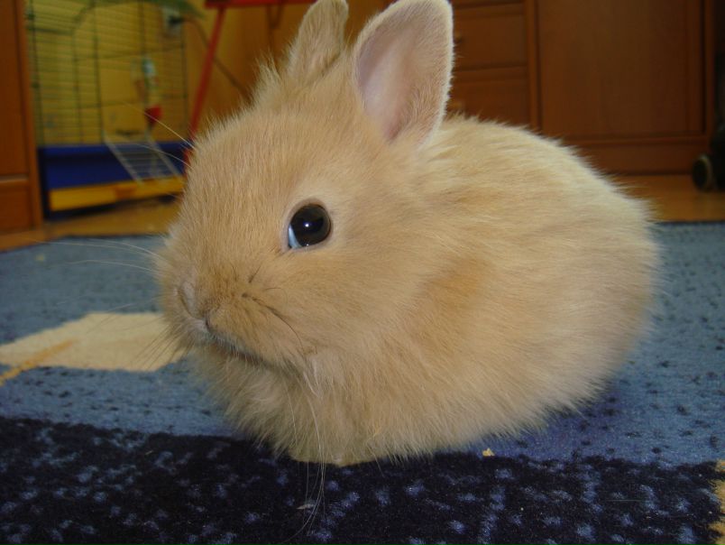 Асель Стар фото №4