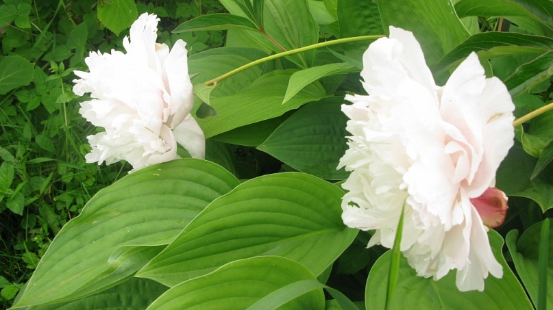 Катерина Старченко фотография #35